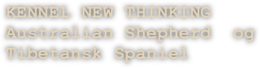 KENNEL NEW THINKING
Australian Shepherd  og Tibetansk Spaniel